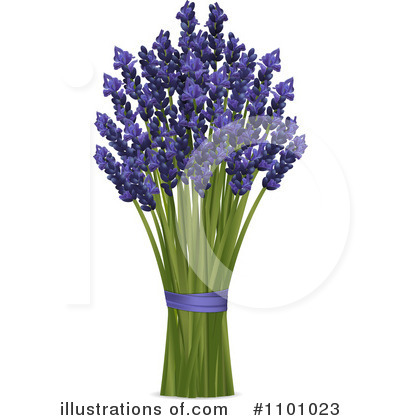 Lavender Clipart  1101023 By Elaine Barker   Royalty Free  Rf  Stock    