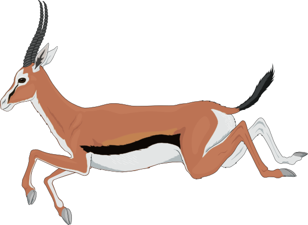 Leaping Antelope Clip Art At Clker Com   Vector Clip Art Online