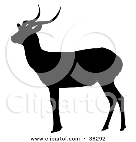 Royalty Free  Rf  Antelope Clipart Illustrations Vector Graphics  1