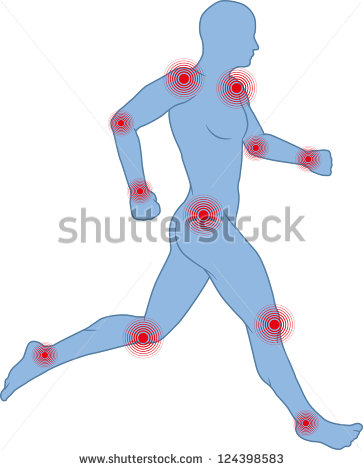 Search Results Hip Joint Vector   Eps Files