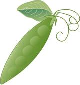 Snow Peas Illustrations And Clipart