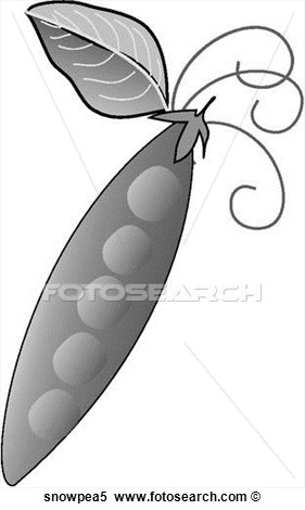 Stock Illustration   Snow Peas One B W  Fotosearch   Search Clipart