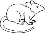 Stylised Rat Illustration   An Illustration Of A Stylised