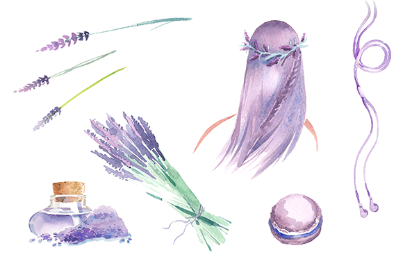 Watercolor Lavender Clipart Set   Illustrations On Creative Market
