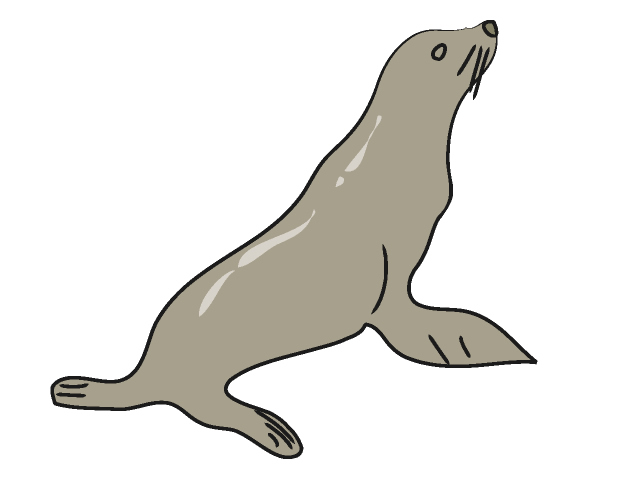 04 Seal   Sea Lion   Free Animal Clip Art   Image Processing Ok