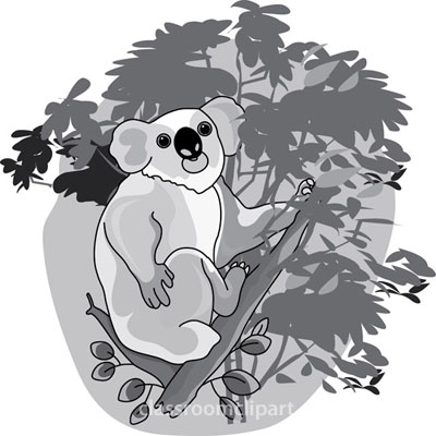 Animals Gray And White Clipart  Koala Bear In Tree 212 1a Gray