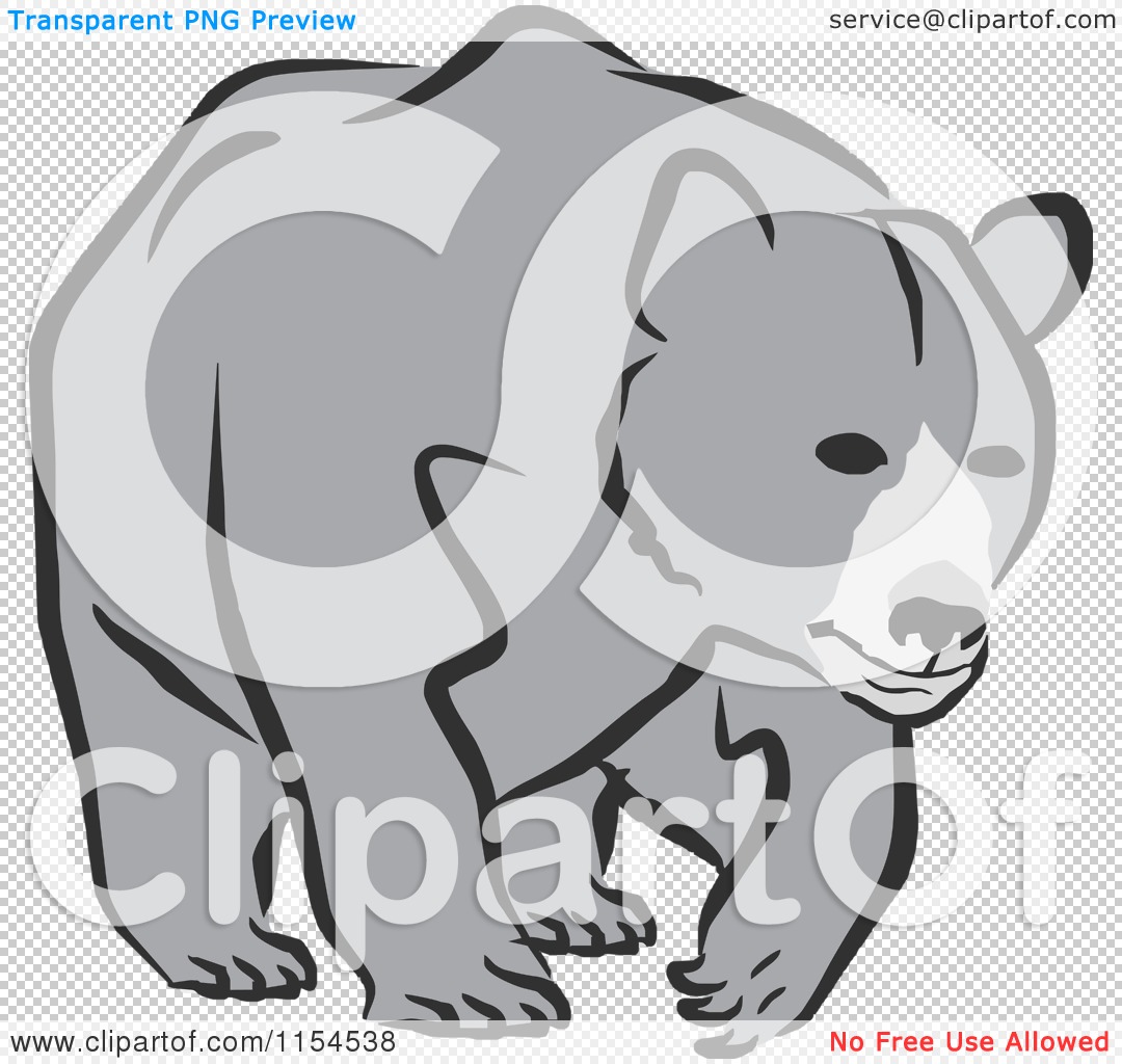 Cartoon Of A Gray Bear Walking   Royalty Free Vector Illustration By