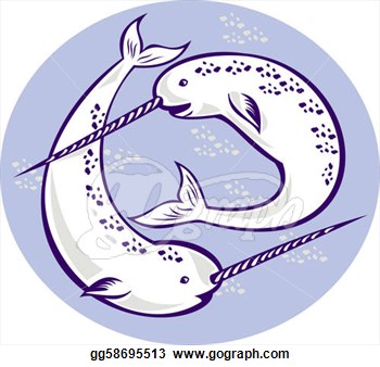Dollar Illustrations Whale Clipart Is Common Whale Octopus Clip Whale