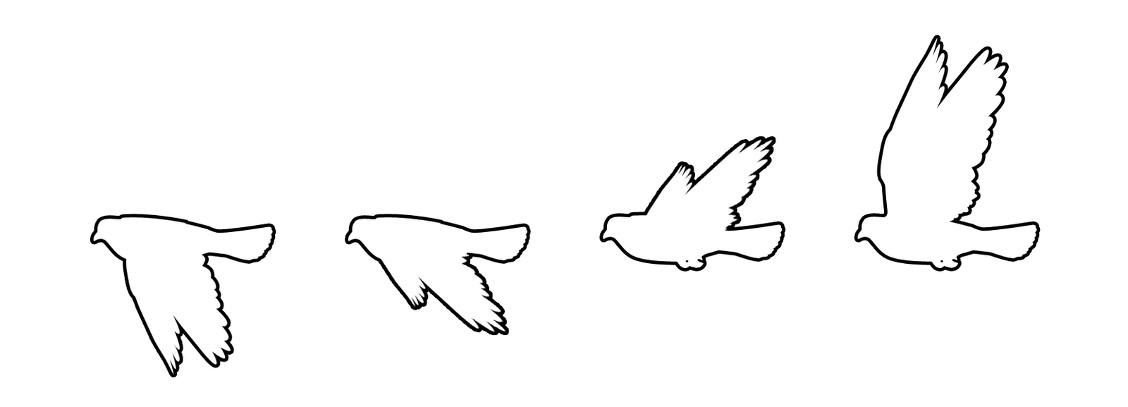 Dove Sequence   Free Images At Clker Com   Vector Clip Art Online