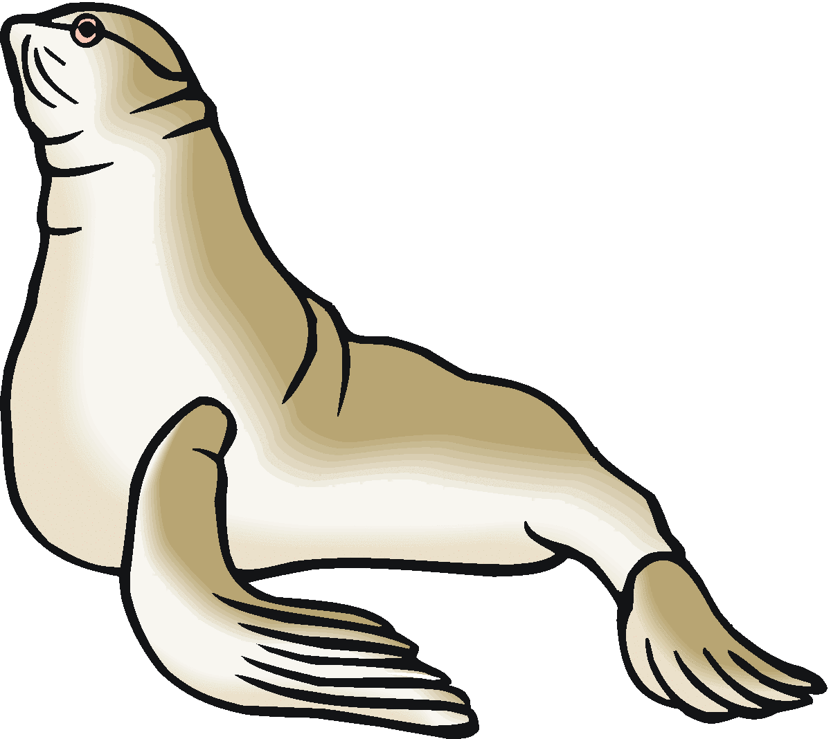 Free Sea Lion Clipart