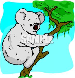Gray Koala Bear Clipart Image