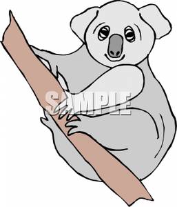 Gray Koala Bear On A Branch Clipart Image