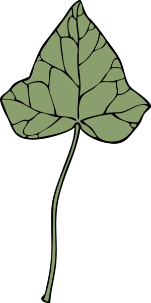 Ivy Leaf 7   Vector Clip Art