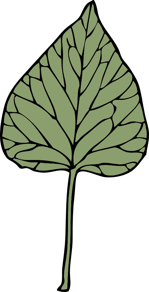 Ivy Leaf Clip Art Vines   Leaves Growing