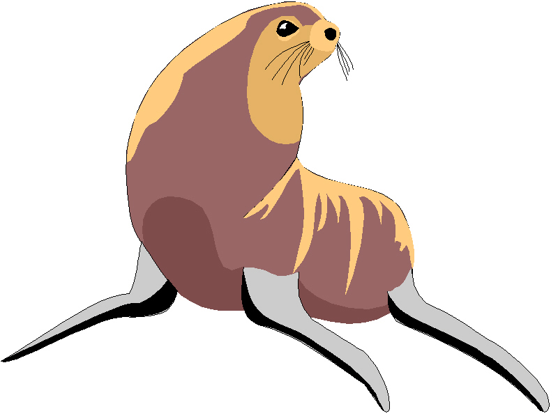 Sea Lion Clip Art   Clipart Panda   Free Clipart Images