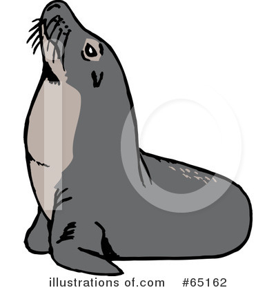 Sea Lion Clipart  65162 By Dennis Holmes Designs   Royalty Free  Rf