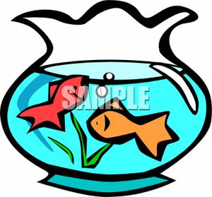 Two Fish Swimming In A Fishbowl   Royalty Free Clipart Picture