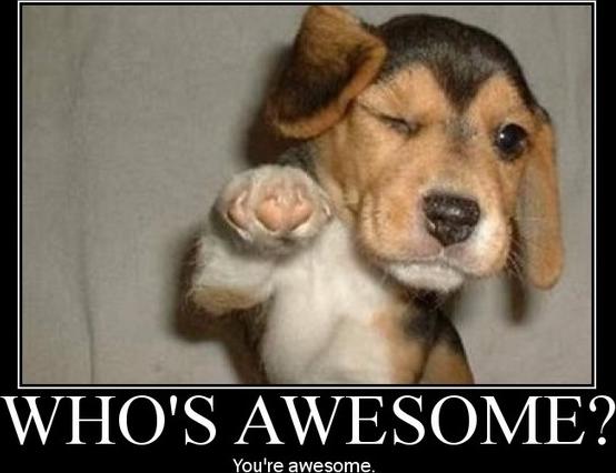 Who S Awesome  You Re Awesome
