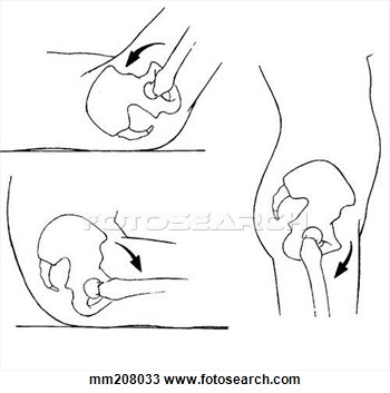 Drawing   Hip Joint Flexion  Fotosearch   Search Clipart Illustration