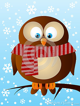 Funny Owl Stock Images   Image  35504264