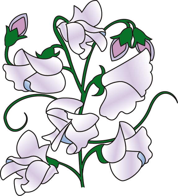 Sweet Pea Flower Clip Art   Clipart Panda   Free Clipart Images