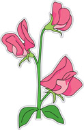 Sweet Pea Flower Clip Art Tn Sweet Pea Flower 307 Jpg