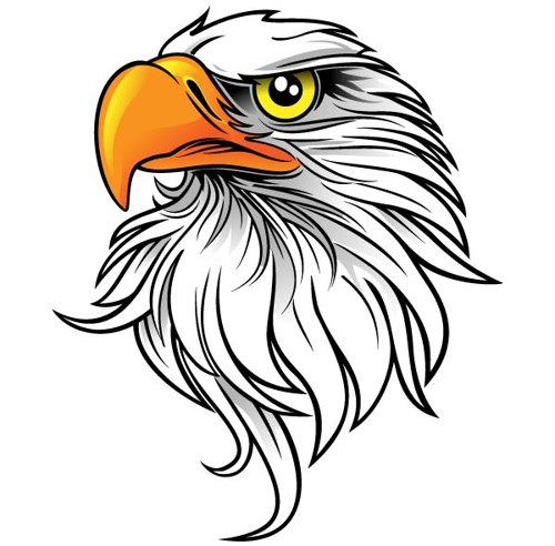 44 Images Of Eagle Mascot Clipart   You Can Use These Free Cliparts
