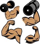 Bicep Curl Clip Art And Stock Illustrations  39 Bicep Curl Eps