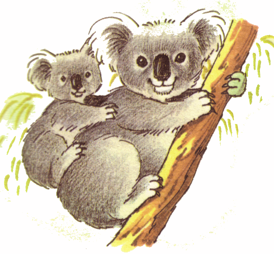 Clipart Of Koala Koala Clipart Koala Bear Clip Art Presley S Book    
