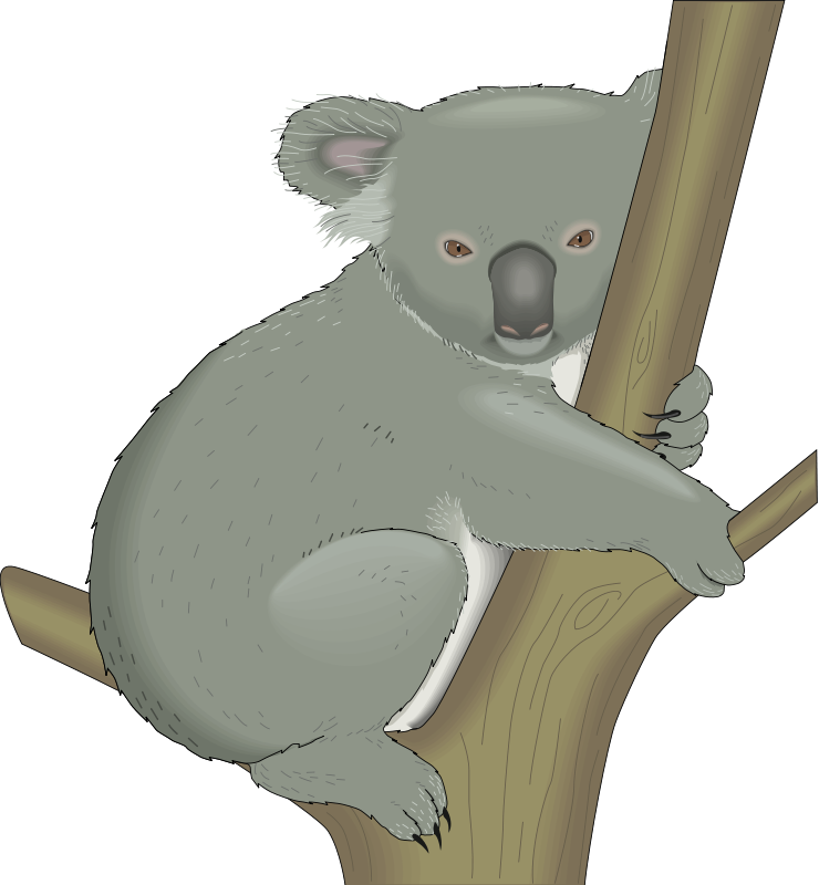 Koala Clip Art Royalty Free Animal Images   Animal Clipart Org