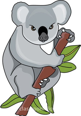 Koala Clipart   Koala Bear Holding Tree Branch 212 4   Classroom