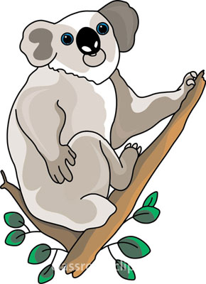Koala Clipart   Koala Bear In Tree 212 1   Classroom Clipart