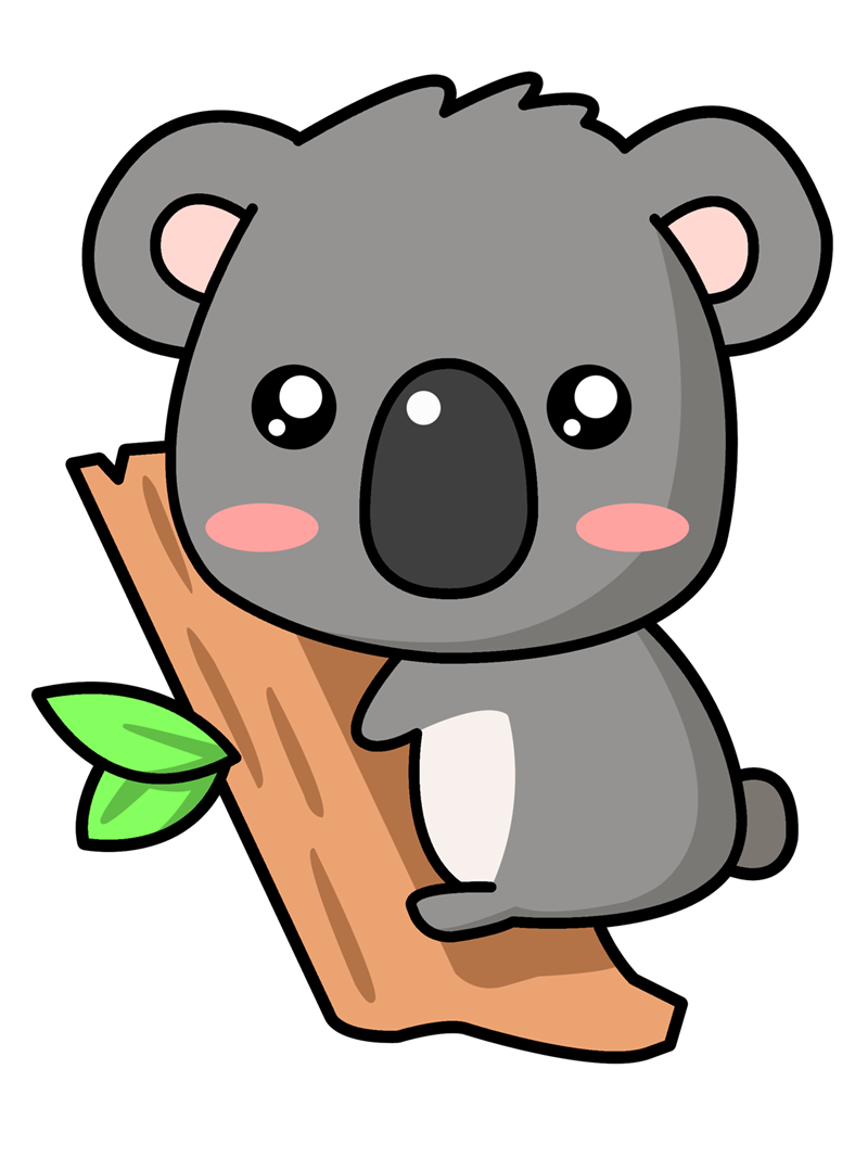 Koala8