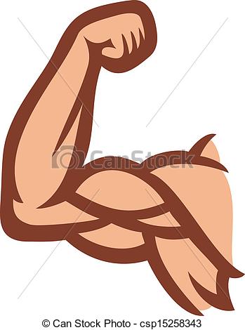 Muscle Arm Clip Art Biceps  Man S Arm Muscles Arm