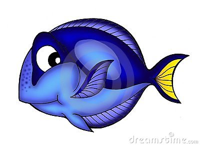 Blue Tang Fish Stock Photo   Image  5315380