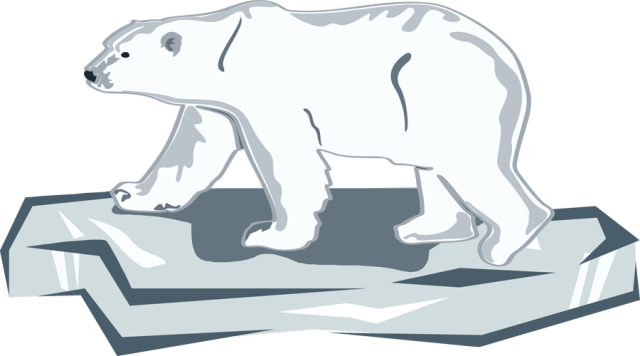 Celebrate A Day For Polar Bears