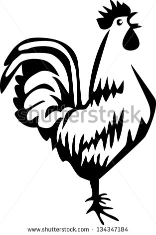 Crowing Rooster   Stock Vector