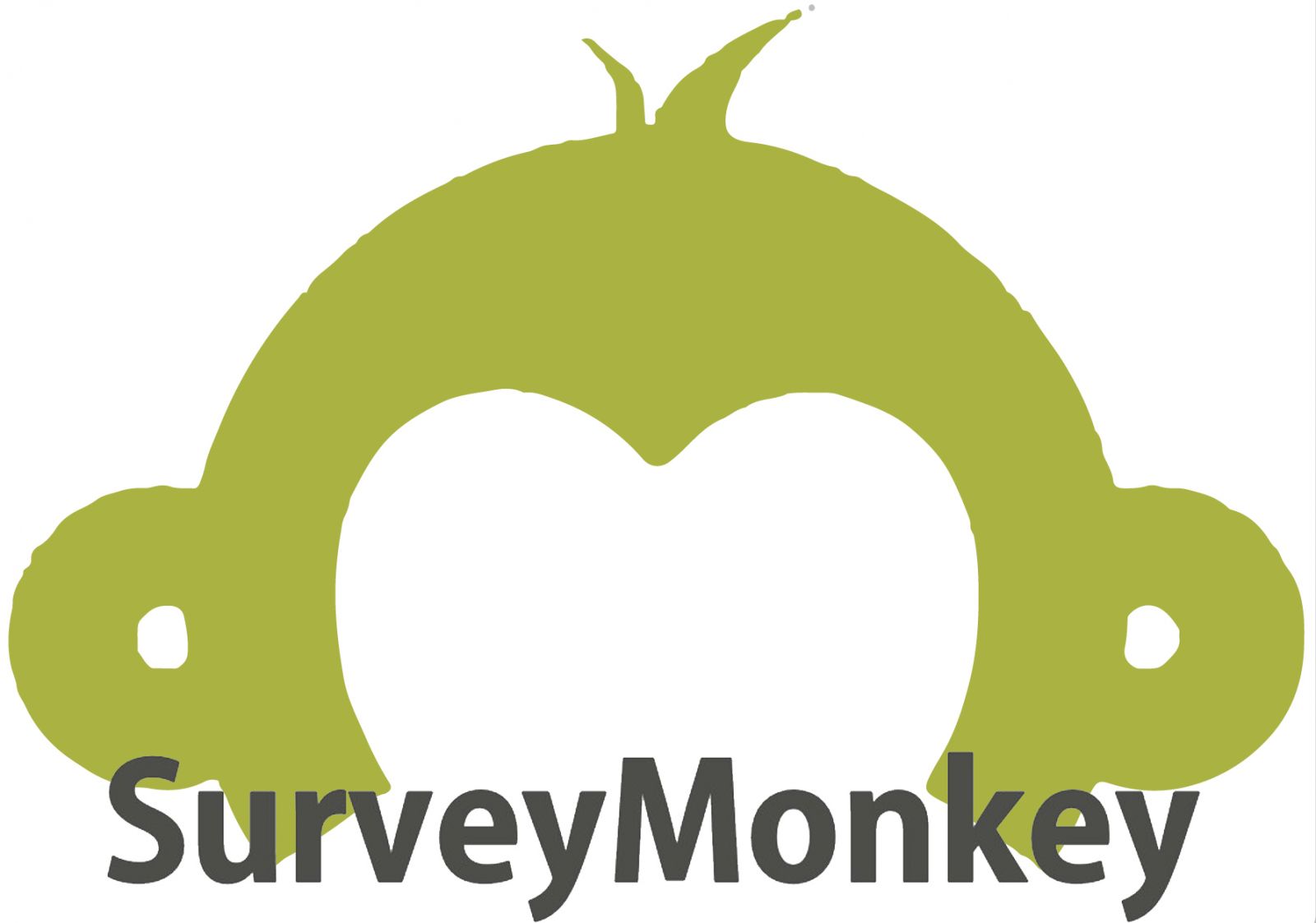 Option 1  Surveymonkey