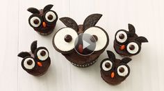 Owls On Pinterest   Owl Box Owl Cupcakes And Felt Owls