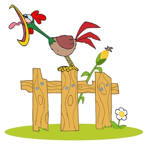 Rooster Crowing Clipart Image   A Rooster Crowing Ona Fence With A    