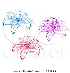 Clipart Blue Pink And Red Lily Flowers Royalty Free Vector More