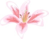 Clipart Easter Lilies Clipart Spring Lily Clipart Clipart Lily Bouquet