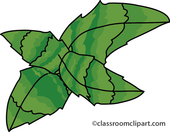 Herbs And Spice   Mint   Classroom Clipart