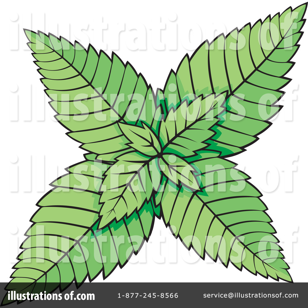 Mint Clipart  1078799   Illustration By Any Vector