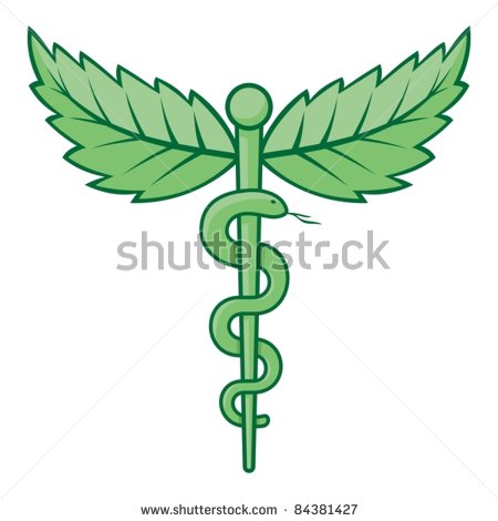 Mint Clipart Stock Vector Single Snake Caduceus With Mint Leaves    