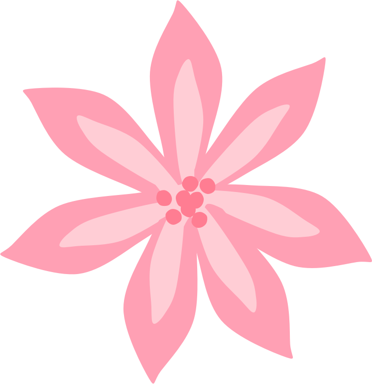 Pink Lily By Scout   A Pink Lily
