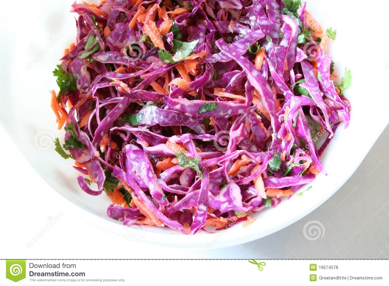 Red Cabbage Cole Slaw Royalty Free Stock Photos   Image  19574578