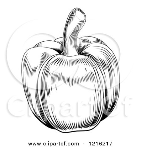 Vintage Woodcut Styled Bell Pepper In Black And White
