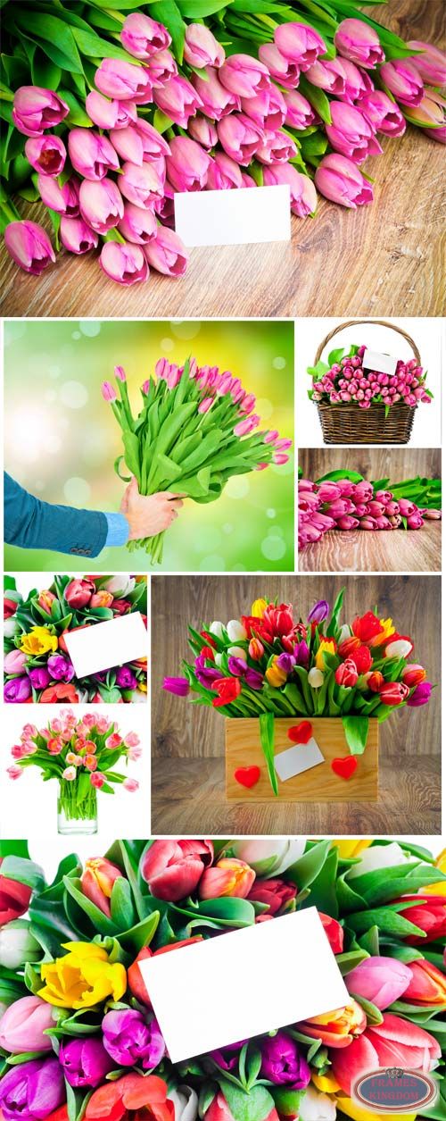 Wonderful Spring Tulips Bouquets Clipart For Design