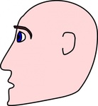 Bald Man Hair Clipart   Free Clip Art Images